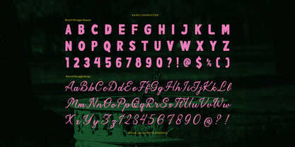 Record Struggle Script Font Poster 10