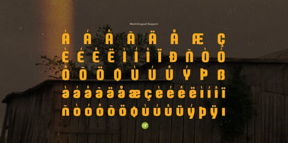 Worn Rural Font Poster 11