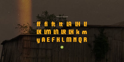 Worn Rural Font Poster 12