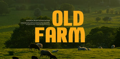 Worn Rural Font Poster 3