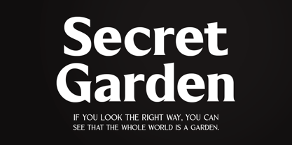 Blackney Font Poster 2