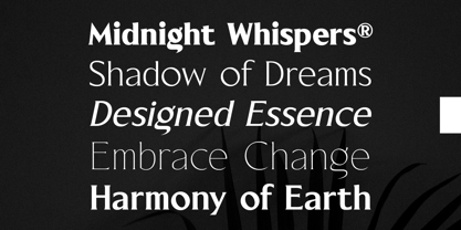 Blackney Font Poster 3