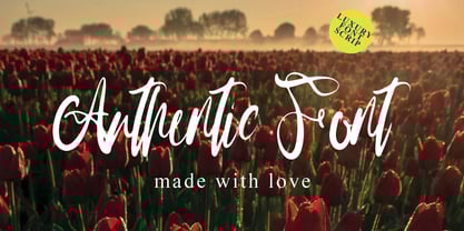 Mils Shorety Font Poster 2