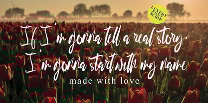 Mils Shorety Font Poster 5