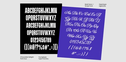 Chocolate Deligth Font Poster 11