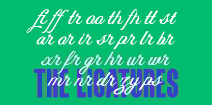 Chocolate Deligth Font Poster 10