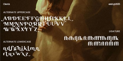 Hola Martini Font Poster 10