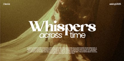 Hola Martini Font Poster 2