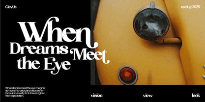 Hola Martini Font Poster 8