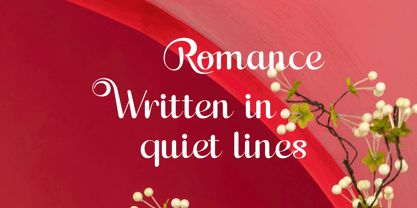 Plavine Font Poster 5