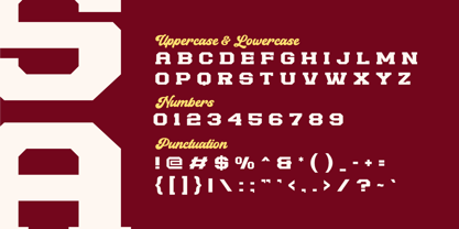 Houston Strike Slab Serif Font Poster 13