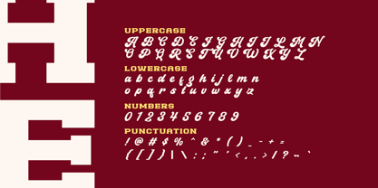 Houston Strike Slab Serif Font Poster 12