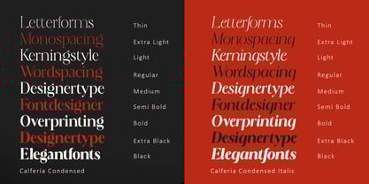 Calferia Font Poster 13