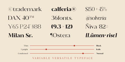 Calferia Font Poster 10