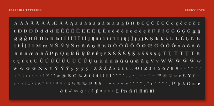 Calferia Font Poster 9