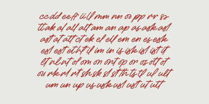 Betany Salena Font Poster 9