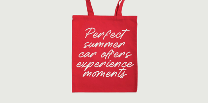 Betany Salena Font Poster 5