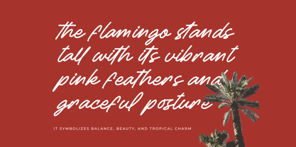 Betany Salena Font Poster 10