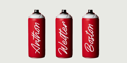 Betany Salena Font Poster 11