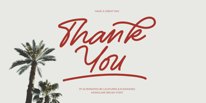 Betany Salena Font Poster 15