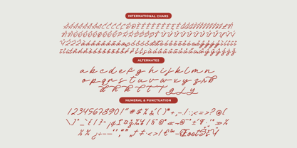 Betany Salena Font Poster 13