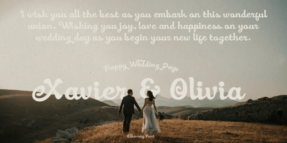 Eliavony Font Poster 8