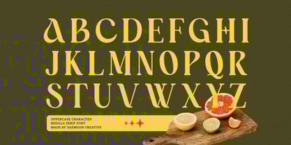 Regilla Font Poster 9