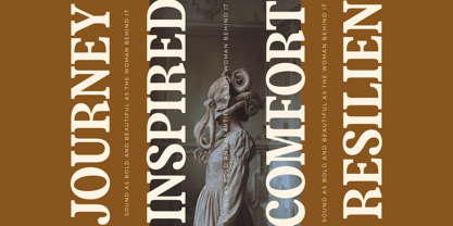 Sayin Cherik Font Poster 6