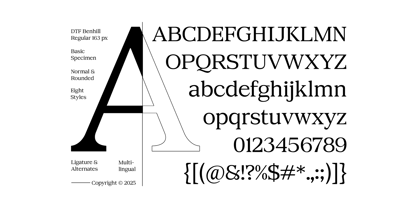 DTF Benhill Font Poster 10