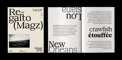 DTF Benhill Font Poster 2