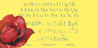 Briglo Shade Font Poster 14