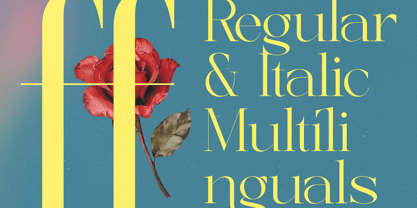 Briglo Shade Font Poster 10