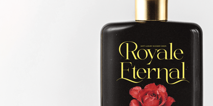 Briglo Shade Font Poster 6