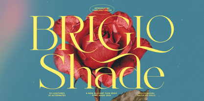 Briglo Shade Font Poster 1