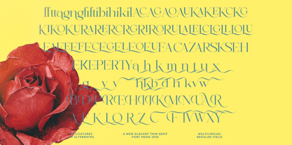 Briglo Shade Font Poster 13