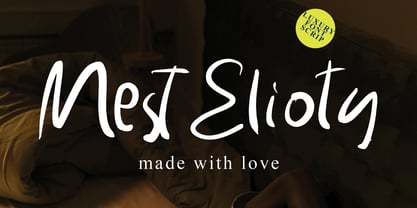 Handwritten Skale Font Poster 2