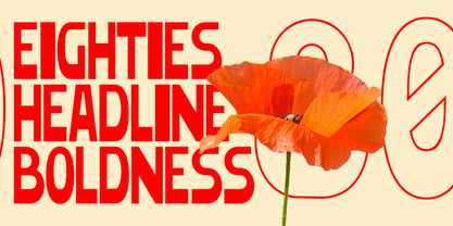 Gelico Condensed Font Poster 3