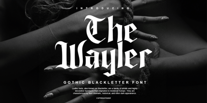 The Wayler Font Poster 1