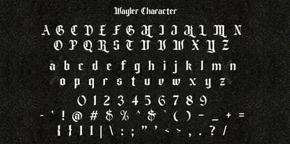 The Wayler Font Poster 9