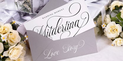 Mildertina Script & Serif Font Poster 7