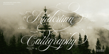Mildertina Script & Serif Font Poster 5