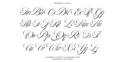 Mildertina Script & Serif Font Poster 13