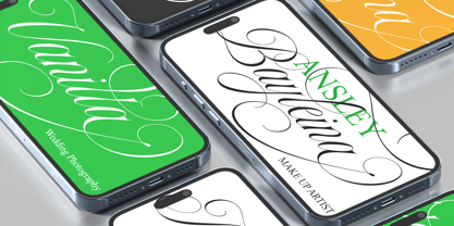 Mildertina Script & Serif Font Poster 12