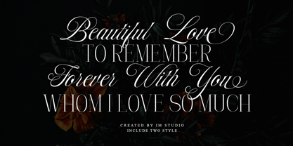 Mildertina Script & Serif Font Poster 6