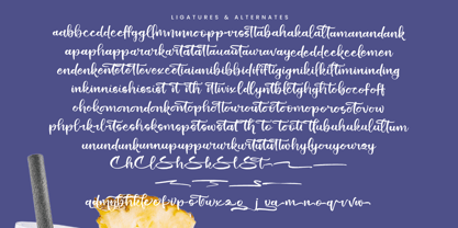 Shiny Cottage Font Poster 15