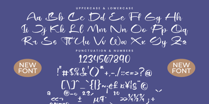 Shiny Cottage Font Poster 14