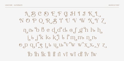 Shilmaz Font Poster 11