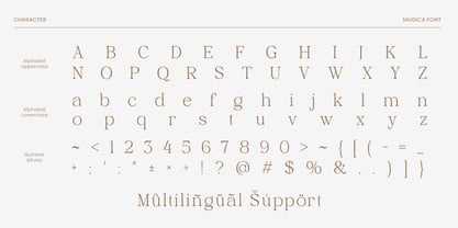 Shilmaz Font Poster 10