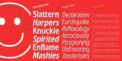 Republish Font Poster 13