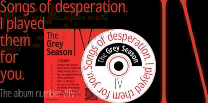 Republish Font Poster 14